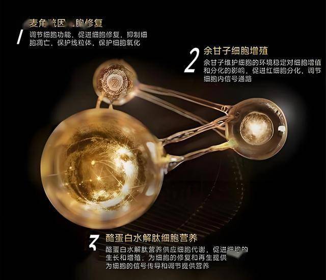 wetrade众汇平台官网交易程序测评平台利用攻略，你准备好掌握它了吗？